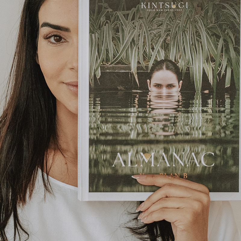Kintsugi Almanac Plan B Book